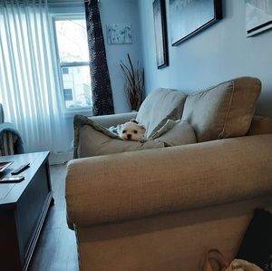 Meet your Posher, Phyllis